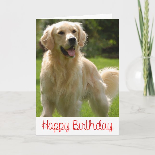 Happy Birthday Golden Retriever Puppy Card (Front)