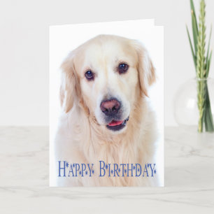 Happy Birthday Golden Retriever Puppy Dog Card