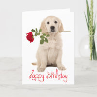 Happy Birthday Golden Retriever Puppy Dog Card