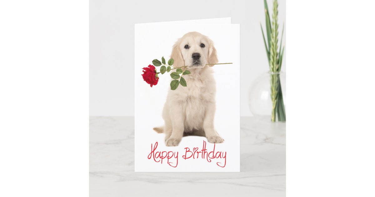 Happy Birthday Golden Retriever Puppy Dog Card Zazzle Com