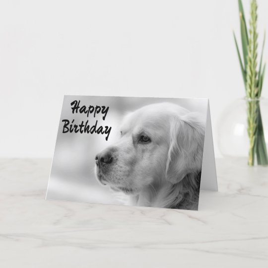 Happy Birthday Golden Retriever Puppy Dog Card 