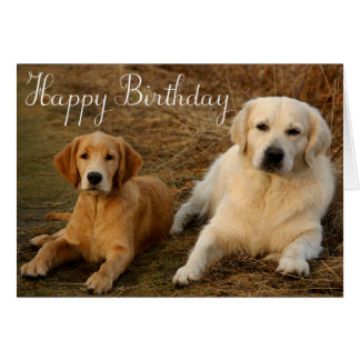 Golden Retriever Happy Birthday Cards | Zazzle