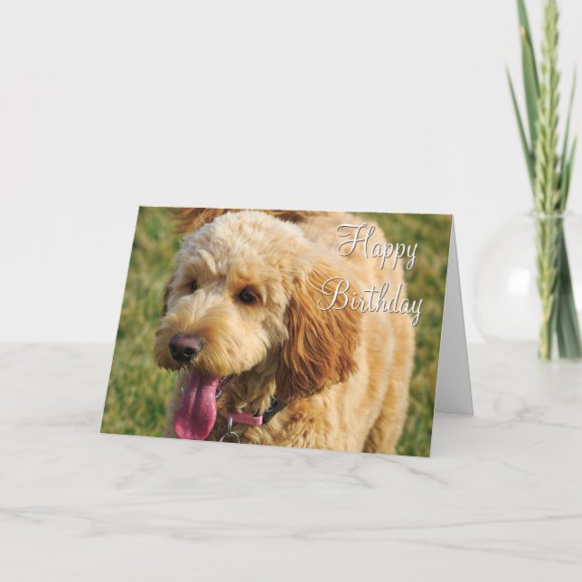Happy Birthday Goldendoodle Dog Card (Front)