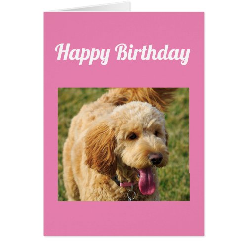 Happy Birthday Goldendoodle Dog Card
