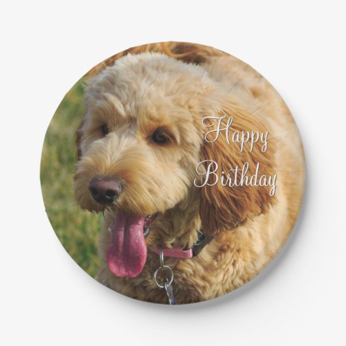 Happy Birthday Goldendoodle Dog Paper Plates