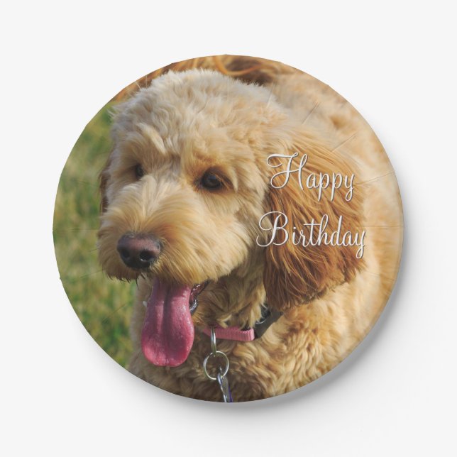 Happy Birthday Goldendoodle Dog Paper Plates (Front)