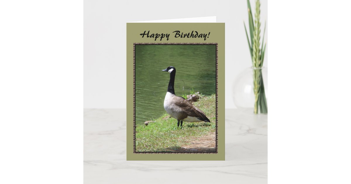 Happy Birthday Goose Card | Zazzle