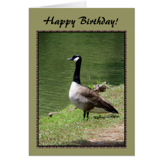 Birthday Goose Gifts on Zazzle