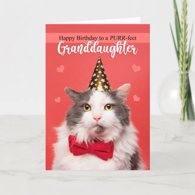 Happy Birthday Granddaughter Cute Cat in Hat Holiday Card | Zazzle