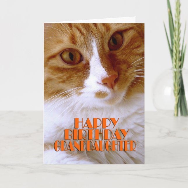 Happy Birthday Granddaughter - Sweet Cat Card (Front)