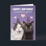 Happy Birthday Granddaughter Two Cute Cats in Hat Holiday Card<br><div class="desc">Your granddaughter will adore these sweet furry faces of these two beautiful kitties in party hats photographed on purple when you wish her a Happy Birthday!</div>