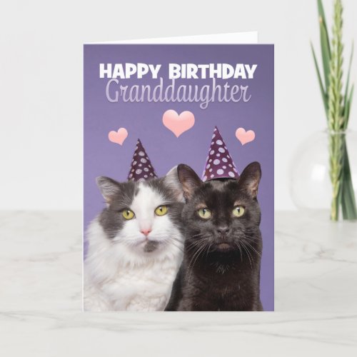 Happy Birthday Granddaughter Two Cute Cats in Hat Holiday Card