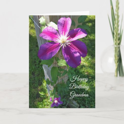 Happy Birthday Grandma Purple Flower Clematis