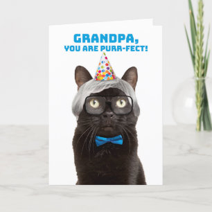 Happy Birthday Grandpa Old Man Cat Humor Holiday Card
