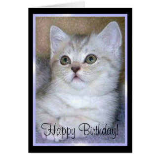 Gray Cat Happy Birthday Cards, Gray Cat Happy Birthday Card Templates ...