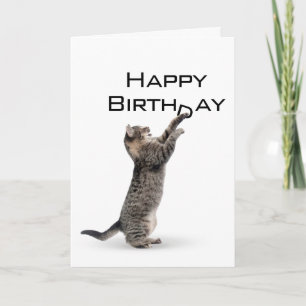 Happy Birthday Gray Tabby Cat Card