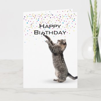 Happy Birthday Gray Tabby Cat Card by dryfhout at Zazzle