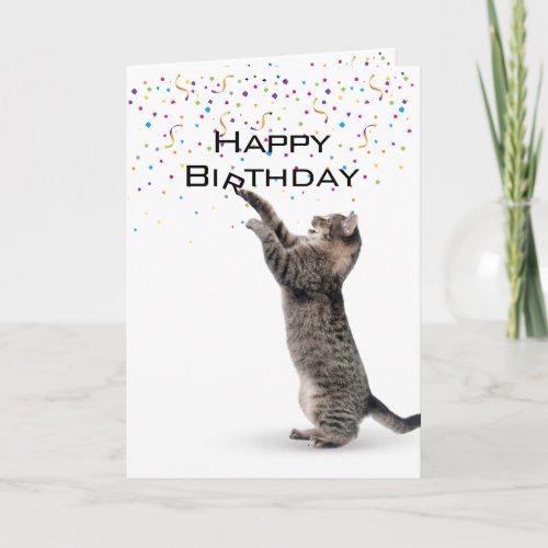 Happy Birthday Gray Tabby Cat Card