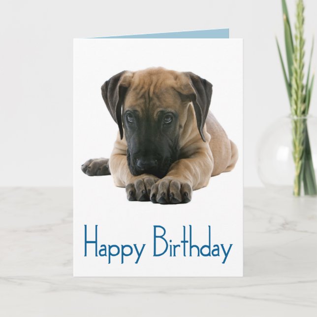 Happy Birthday Great Dane Puppy Dog Card - Verse (Front)