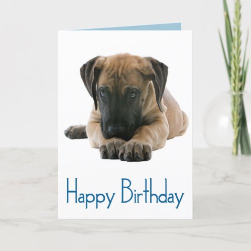 Happy Birthday Great Dane Puppy Dog Card _ Verse