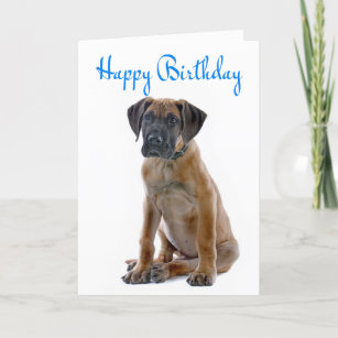 Great Dane Birthday Cards | Zazzle