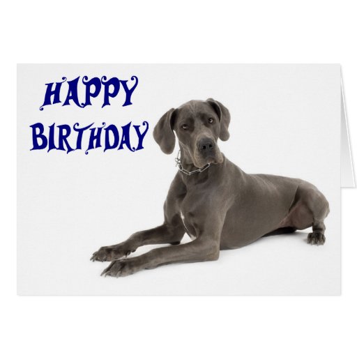 Happy Birthday Great Dane Puppy Dog Card - Verse | Zazzle