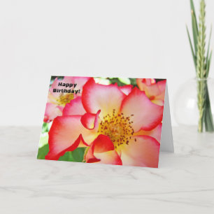 Happy Birthday! Greeting Cards Red White Rose