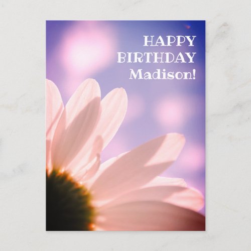 Happy Birthday Greetings Daisy Flower Photo Custom Postcard