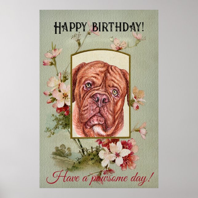 Happy Birthday Greetings French mastiff Poster (Front)