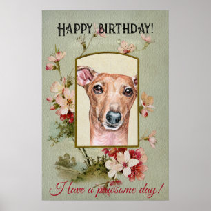 Happy Birthday Greetings Italian Greyhound Poster