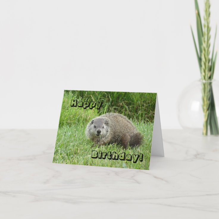 Happy Birthday groundhog Card | Zazzle