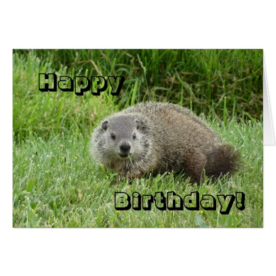 Happy Birthday groundhog Card | Zazzle.com