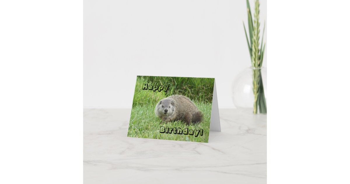 Happy Birthday groundhog Card | Zazzle