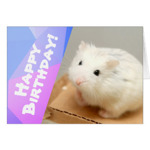 Happy Birthday - Hammyville White Hamster Cards