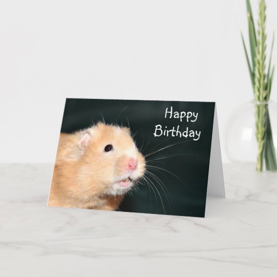 Happy Birthday hamster Card | Zazzle.com