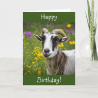 Happy Birthday Handsome Goat