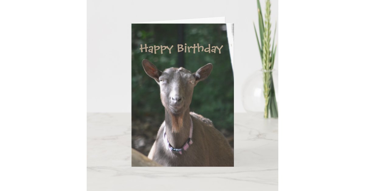 Funny Old Goat for 74th Birthday Card