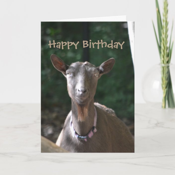 Happy Birthday Handsome Old Goat Card | Zazzle.com