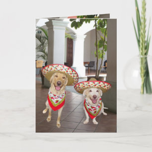 Happy Birthday! Happy cumpleaños! Card