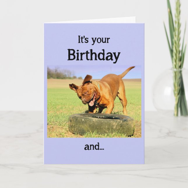 Happy Birthday Happy Dog Fun Wishes Card (Front)