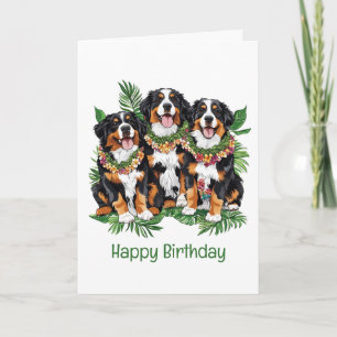 Happy Birthday Hawaiian Bernese Mountain Dogs Card