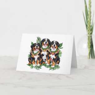 Happy Birthday Hawaiian Bernese Mountain Dogs Card