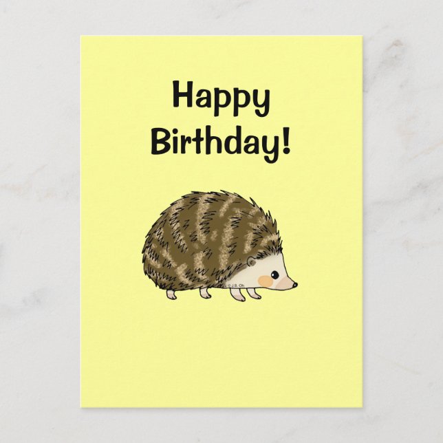 Happy birthday! (hedgehog) postcard (Front)