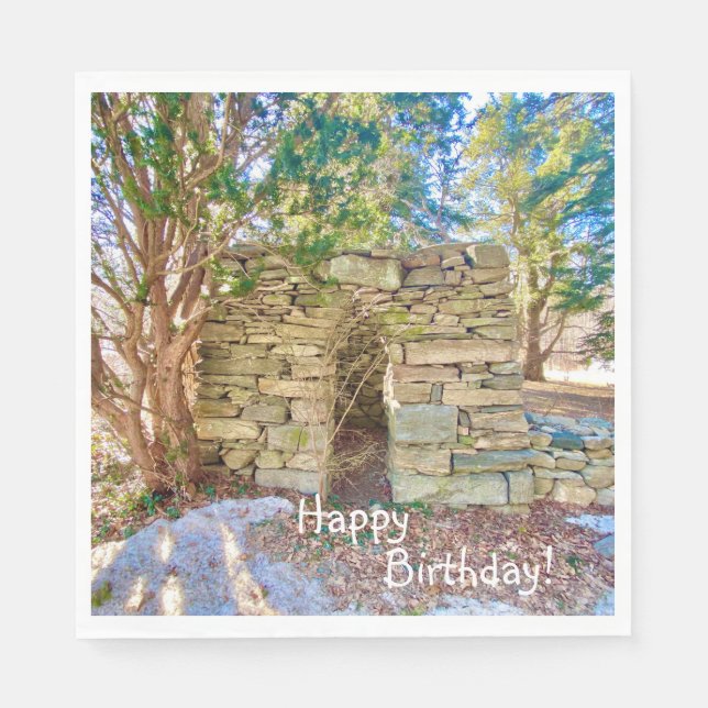 Happy Birthday History Buff Napkins (Front)