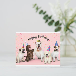 Happy Birthday Holiday Card