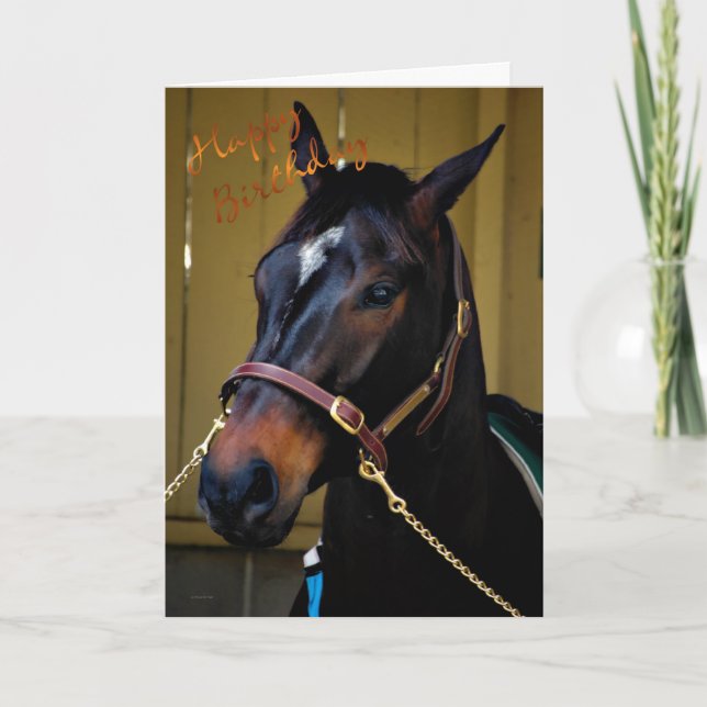Happy Birthday Horse Birthday card horse lovers (Front)
