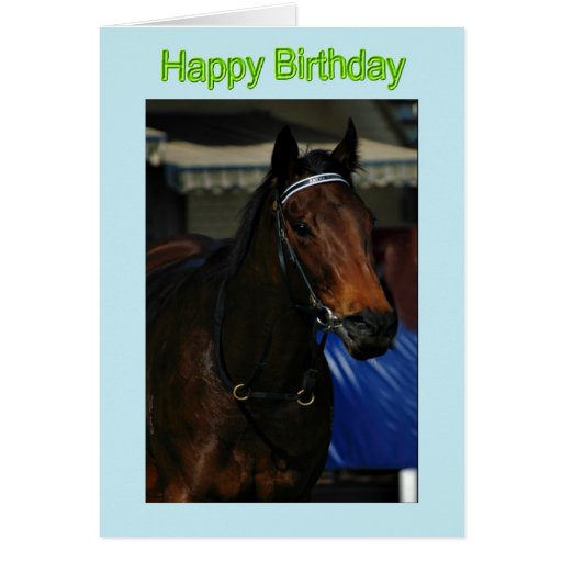 Happy Birthday Horse Birthday mare stallion foal Card | Zazzle