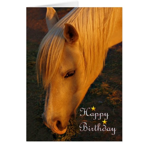 Happy Birthday Horse Birthday mare stallion foal Card | Zazzle