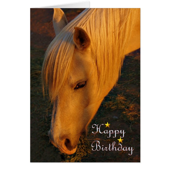 Happy Birthday Horse Birthday mare stallion foal Card