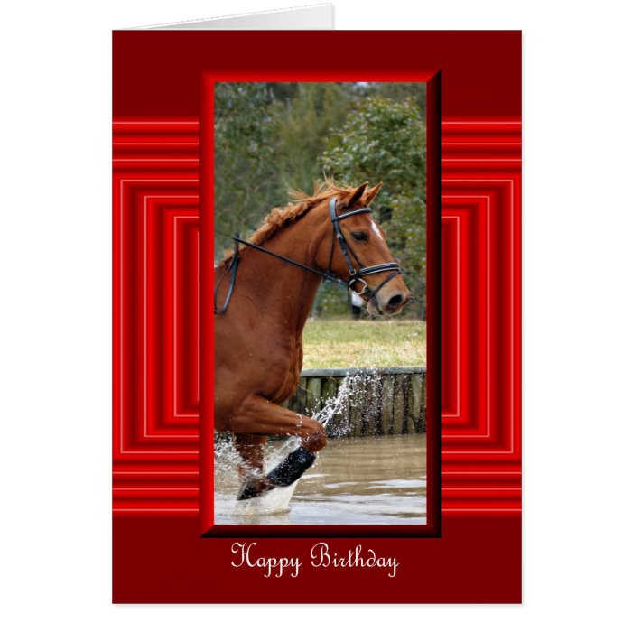 Happy Birthday Horse Birthday mare stallion foal Cards